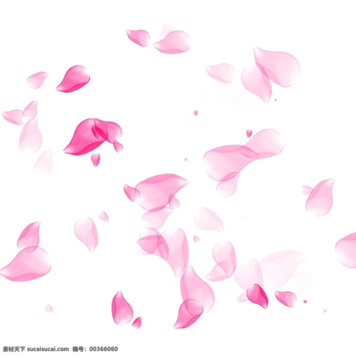 透明花背景 创意花设计 矢量花图 创意花 花边 手绘花 手绘画 粉色花 月季花 花元素 花 卡通花 植物 盆栽 花矢量