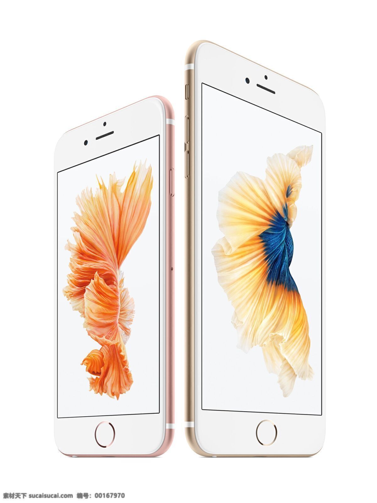 苹果 iphone6s iphone 6s plus 时尚 旗舰手机 美国 手机 通信器材 数码家电 数码产品 苹果手机 apple 设备 苹果产品 现代科技