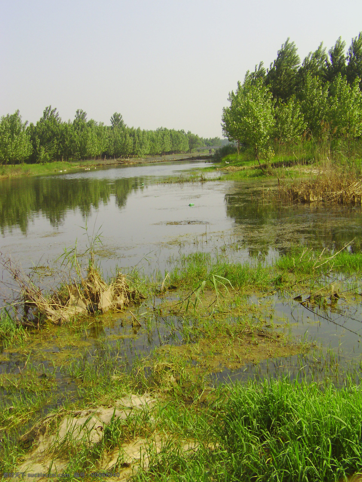 一条大河 河景 河水美景 天空 绿水 树丛 倒影 摄影图 自然景观 自然风景