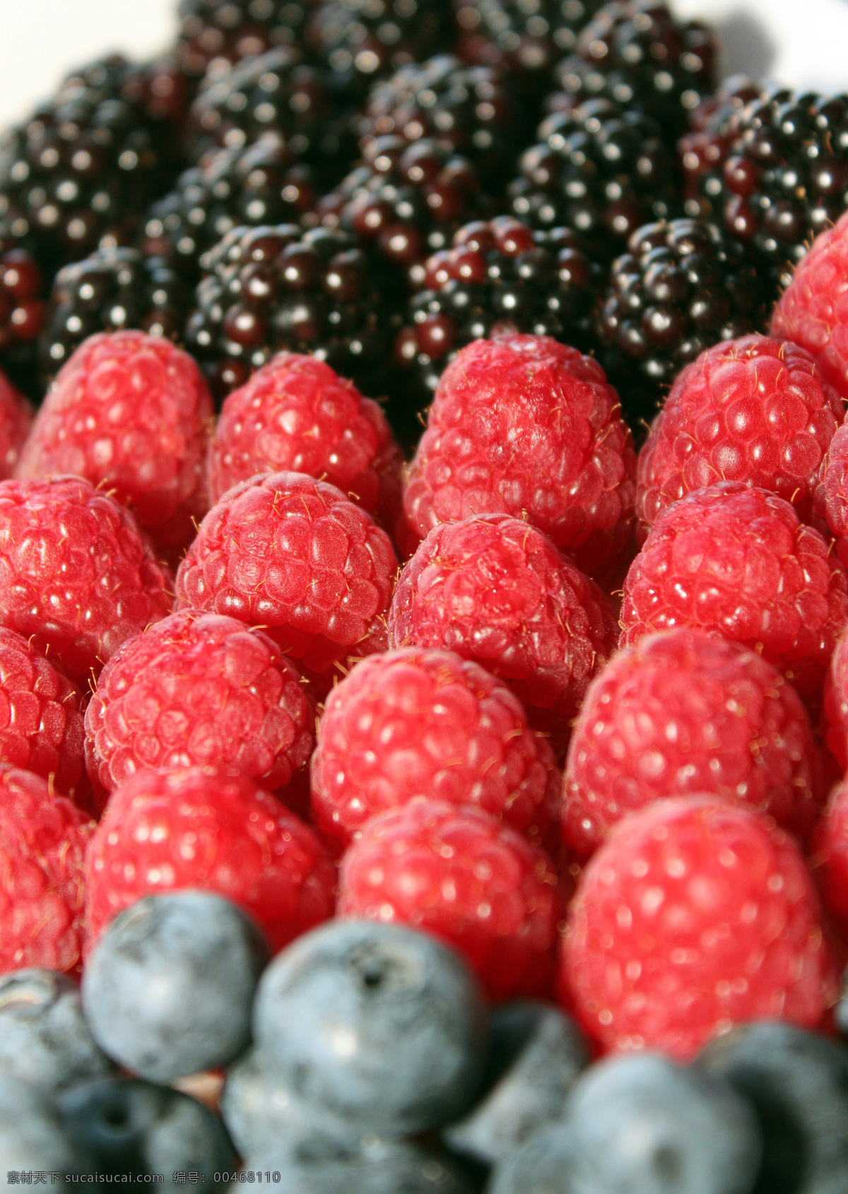 树莓 黑莓 山梅 蓝莓 特写 果实 浆果 水果