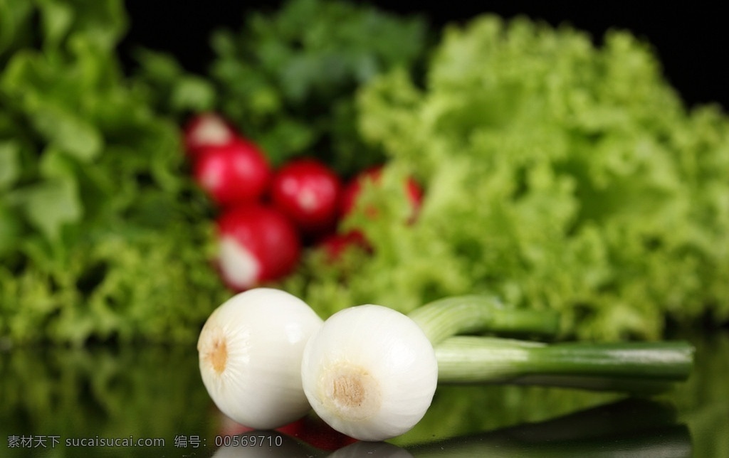 大葱 新鲜蔬菜 生菜 包菜 芹菜 萝卜 蔬菜 卷心菜 青菜 蔬菜水果 生物世界