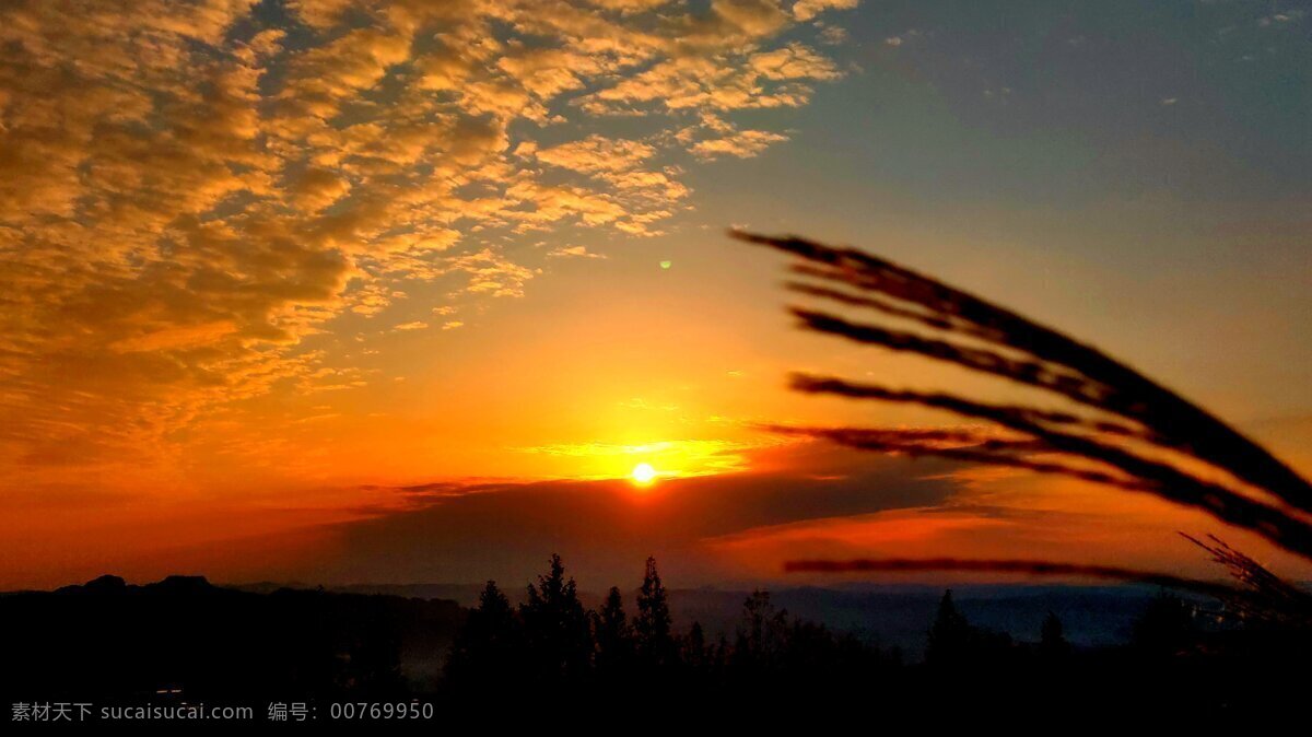 夕阳图片 夕阳 芦苇 太阳落山 黄昏 落日 傍晚 自然景观 自然风景