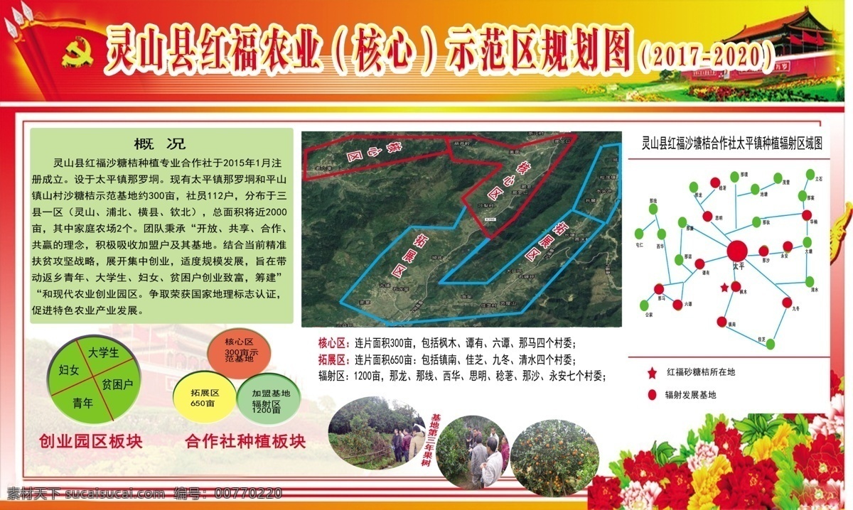 红 福 砂糖 桔 示范区 农业 示范设计 砂糖桔 生活百科