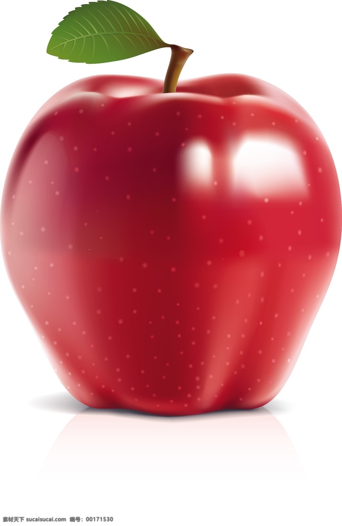 红富士苹果 矢量苹果 苹果 红色苹果 成熟苹果 立体苹果 零售素材