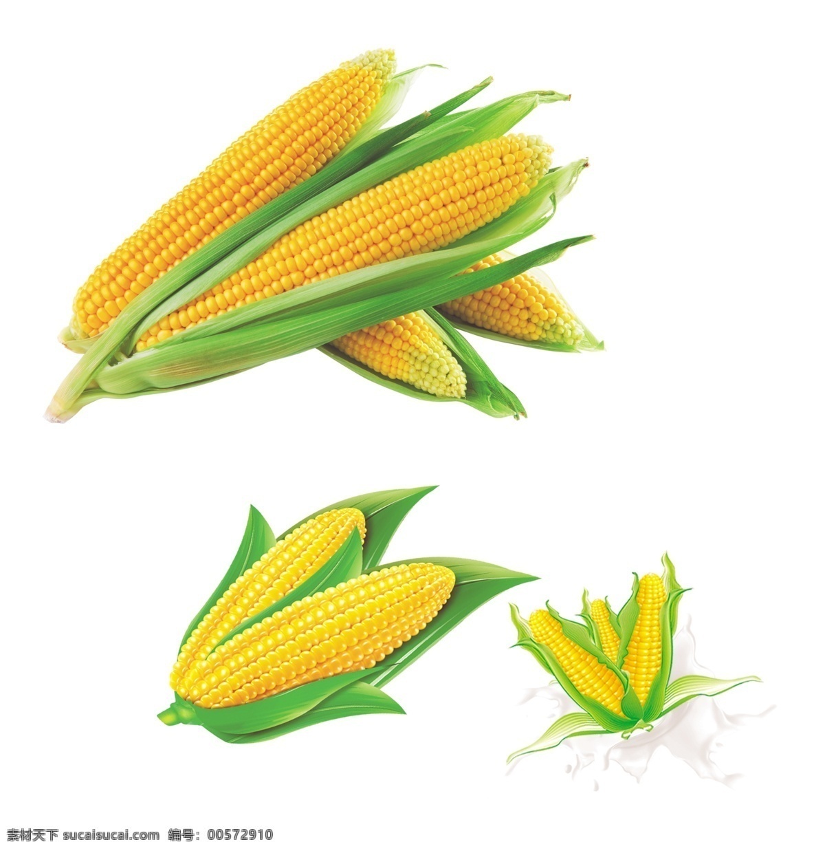 玉米 卡通玉米 玉米素材 玉米叶子 矢量玉米 矢量素材 绿色食品 农作物 米 玉米棒 甜玉米 包谷 苞米 棒子 玉米棒子 分层 源文件