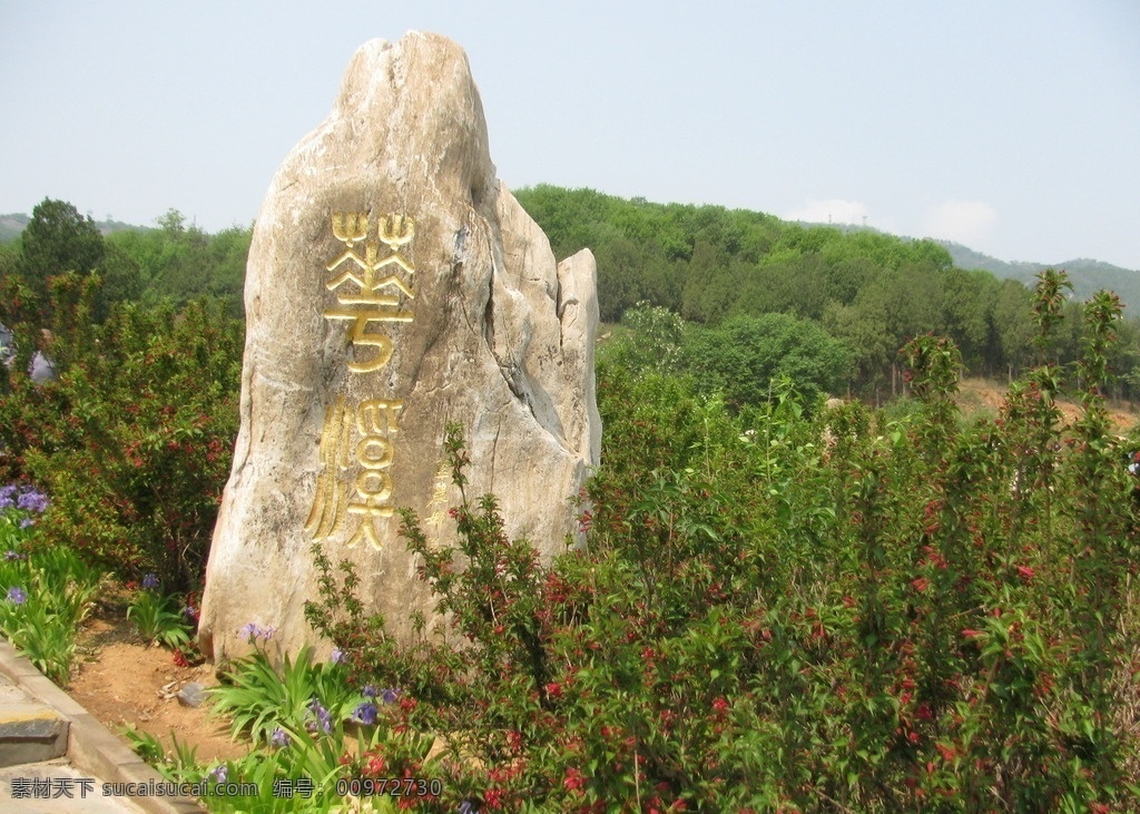 山石 景观石 花卉 红花 鸢尾 紫蝴蝶 蓝蝴蝶 园林绿化 园林 园林景观 装饰画 绿化景观 树木 景观山石 建筑园林 园林建筑