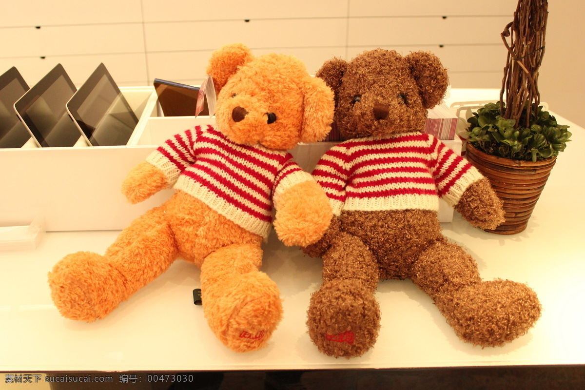 泰迪 熊 卡通熊 人物图库 日常生活 泰迪熊 玩具 小熊 熊宝宝