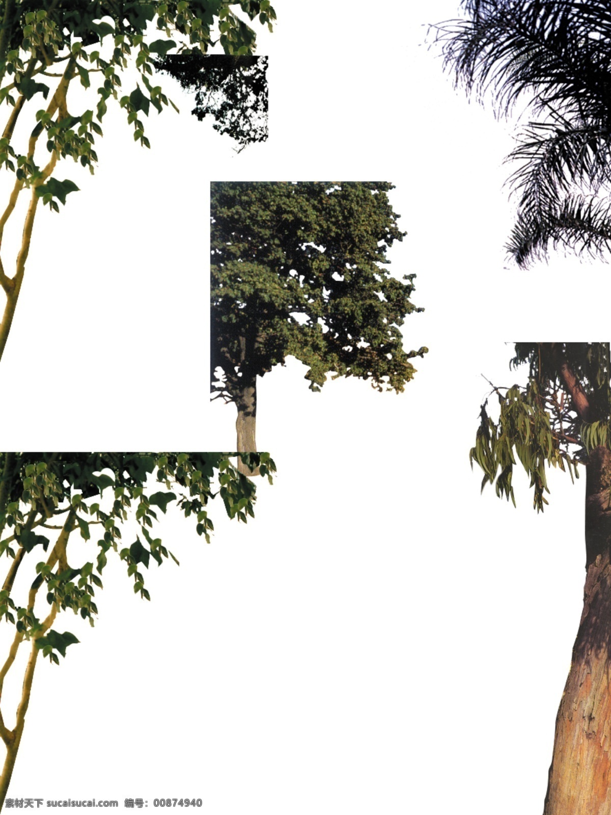 分层 ps后期素材 风景 景观 绿化 树木 园林 源文件 配景 模板下载 配景树木 植物 ps后期配景 装饰素材 园林景观设计