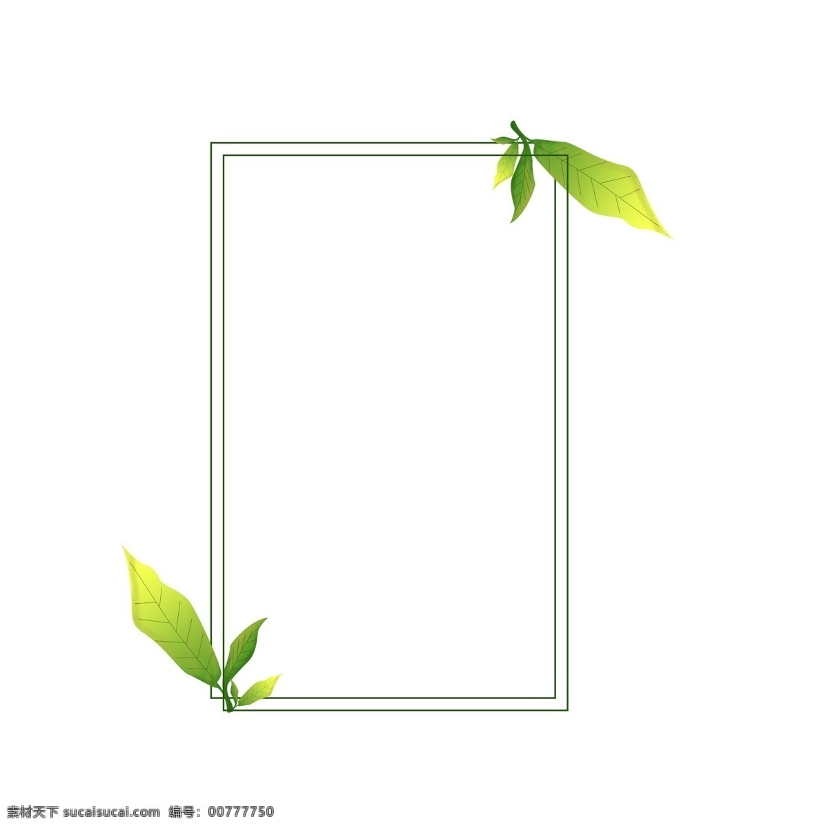 手绘 原创 绿叶 植物 叶子 边框 免 扣 元素 装饰 图案 植物边框 绿叶边框 叶子边框 手绘叶子