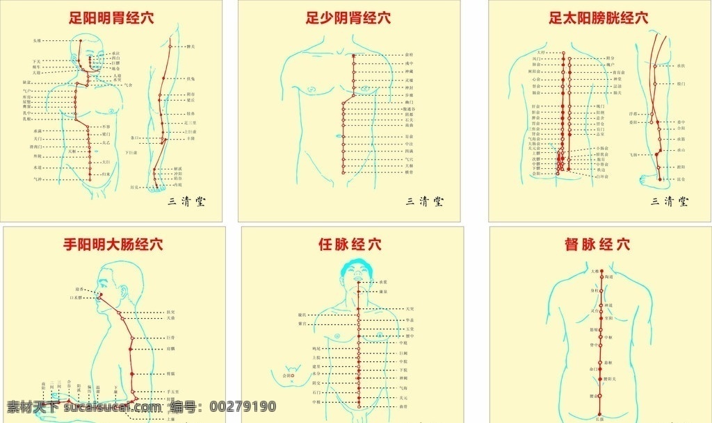 经络穴位图 足阳明胃经穴 足少阴肾经穴 足 太阳 膀胱 穴 手 阳明 大肠 任脉经穴 督脉经穴 穴位图 经络 穴位 经络图 医疗保健 生活百科 矢量