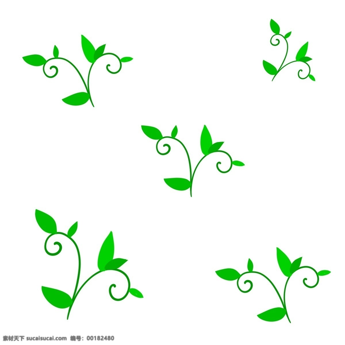 绿色植物 叶子 蔓藤 绿色 植物 中药 墨绿 单片叶子 白色 装饰 贴画 嫩芽