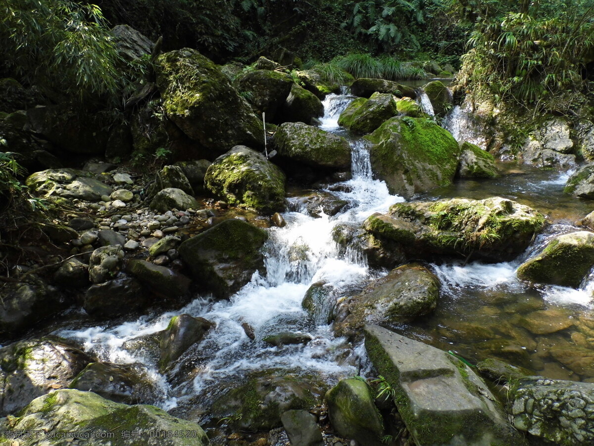 小溪 瀑布 流水 山石 石头 山水 林间 溪流 树林 成都 成都青城山 山水风景 自然景观