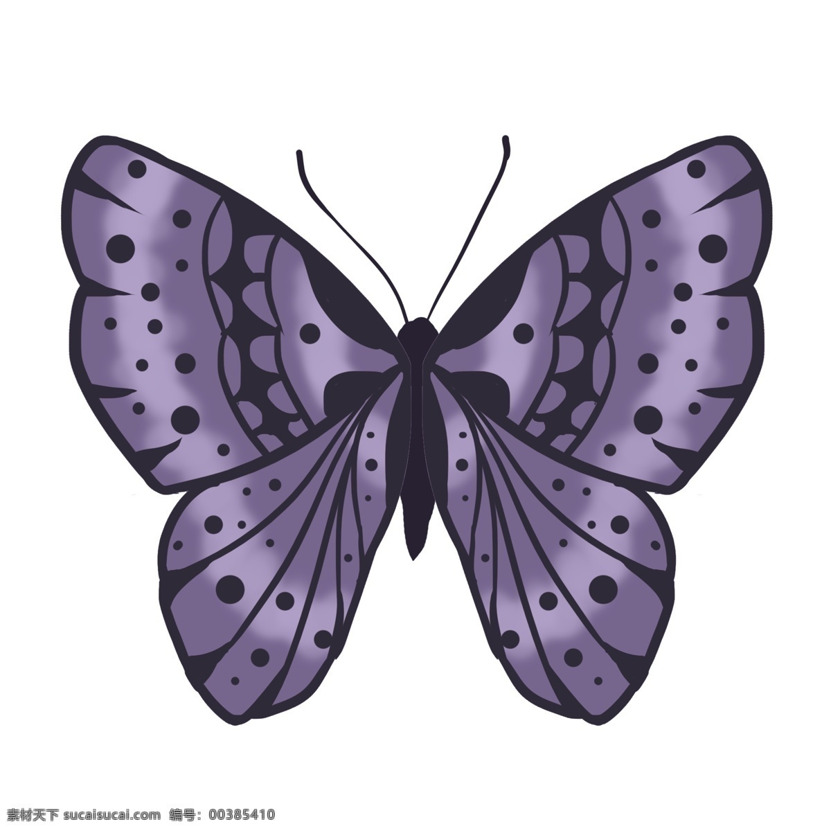 紫色 动物 昆虫 蝴蝶 免抠 写实
