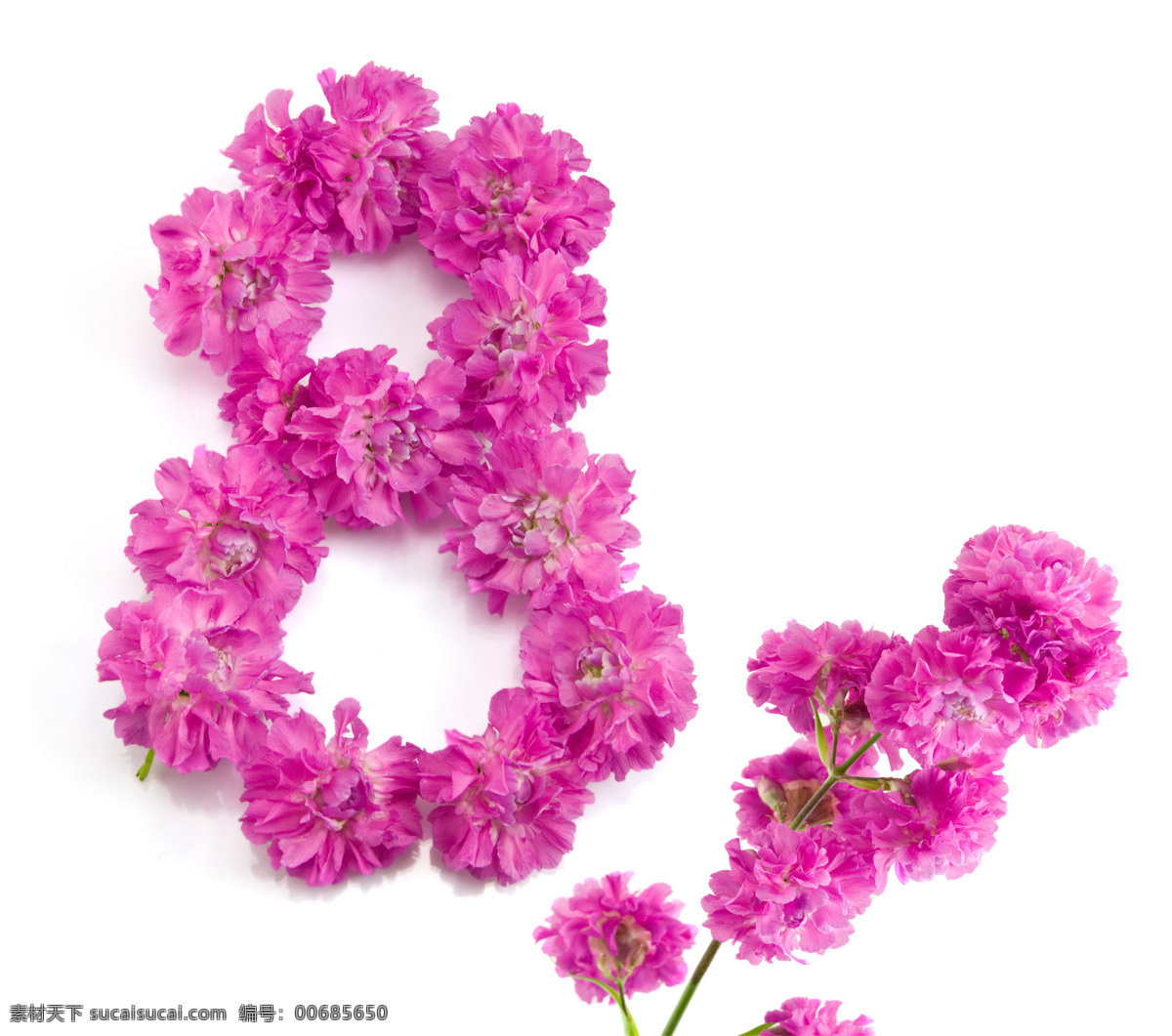 鲜花 组成 数字 艺术字 创意 数字8 花环 花朵 节日庆典 生活百科 白色