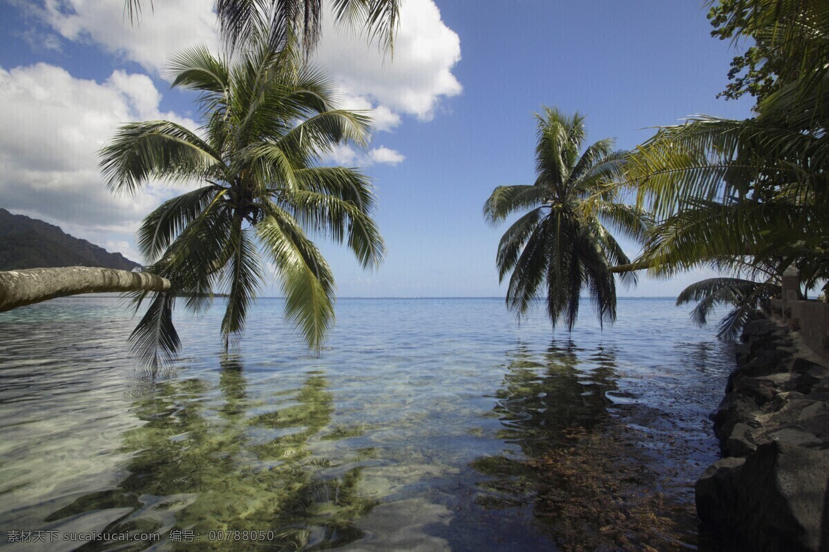 美丽 大海 风景 美丽海滩 海边风景 海岸风光 蓝天白云 海滩 海洋 海平面 椰子 椰树 旅游景点 海景 景色 美景 摄影图 高清图片 大海图片 风景图片