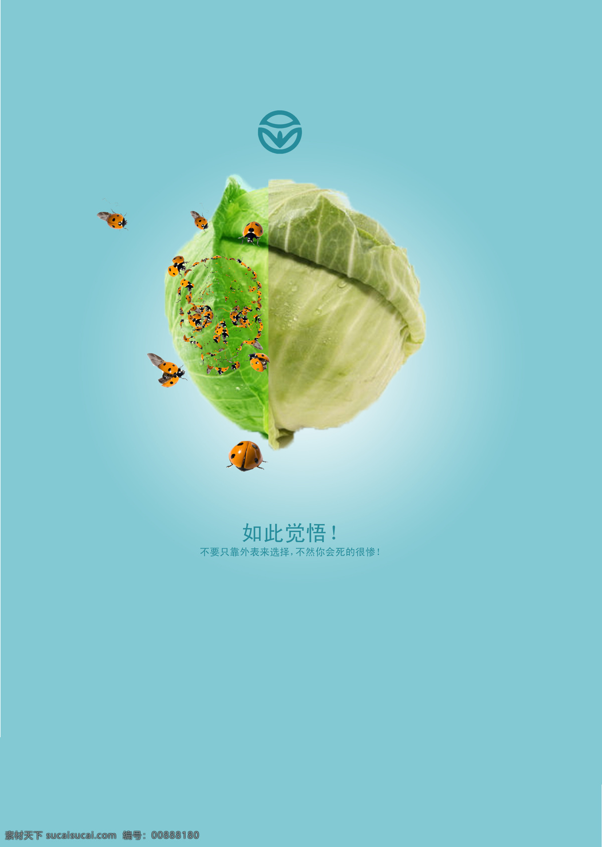 公益 广告 系列 白菜 广告系列 蓝底 绿色 绿色食品 瓢虫 公益广告系列 食品 招贴设计 展板 公益展板设计