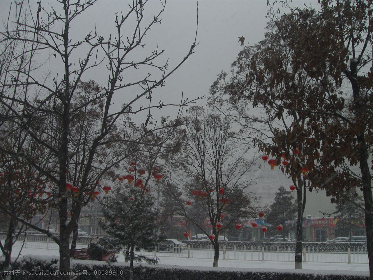 雪 皑皑 灯笼 红 白雪 红灯笼 小树 自然风景 自然景观 雪皑皑灯笼红 延安 百米大道 矢量图 日常生活