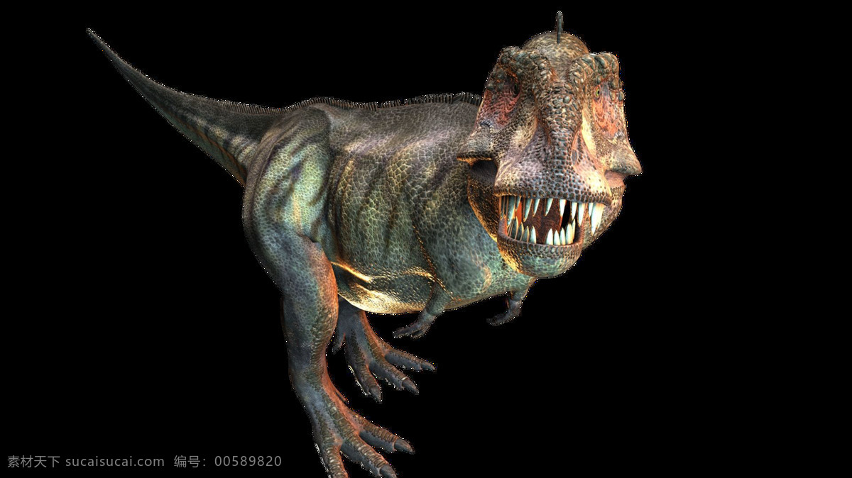 恐龙 暴龙 龙 史前动物 巨大 凶狠 透明