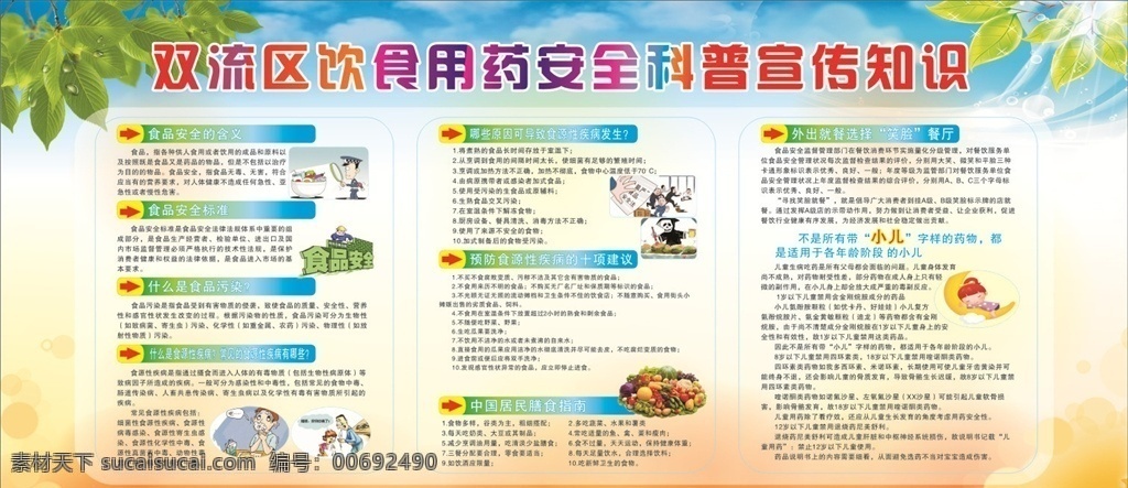 饮食 用药 安全 宣传 知识 饮食用药 安全宣传知识 食品安全含义 食品安全标准 中国膳食指南