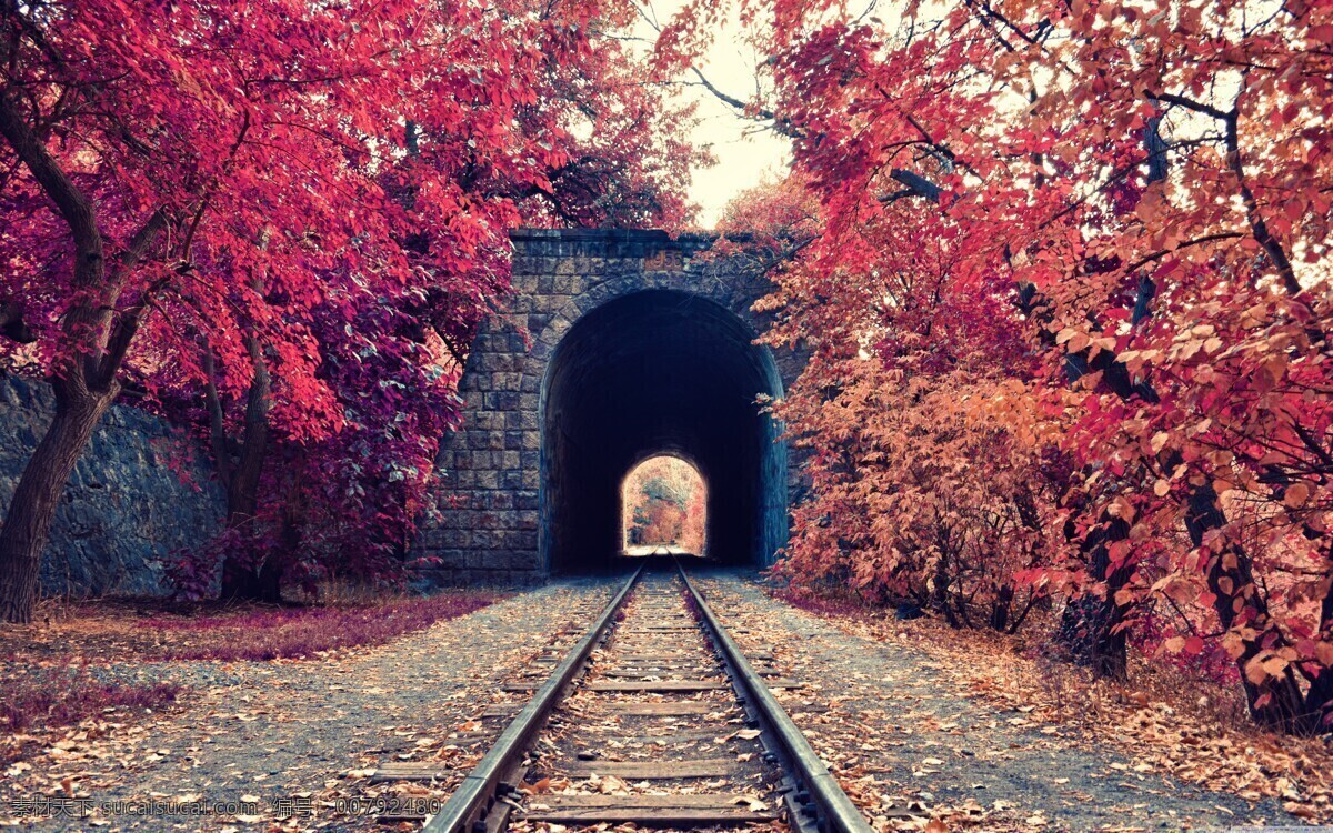 唯美 秋天 铁道 风景图片 树木 树叶 落叶 秋季 自然