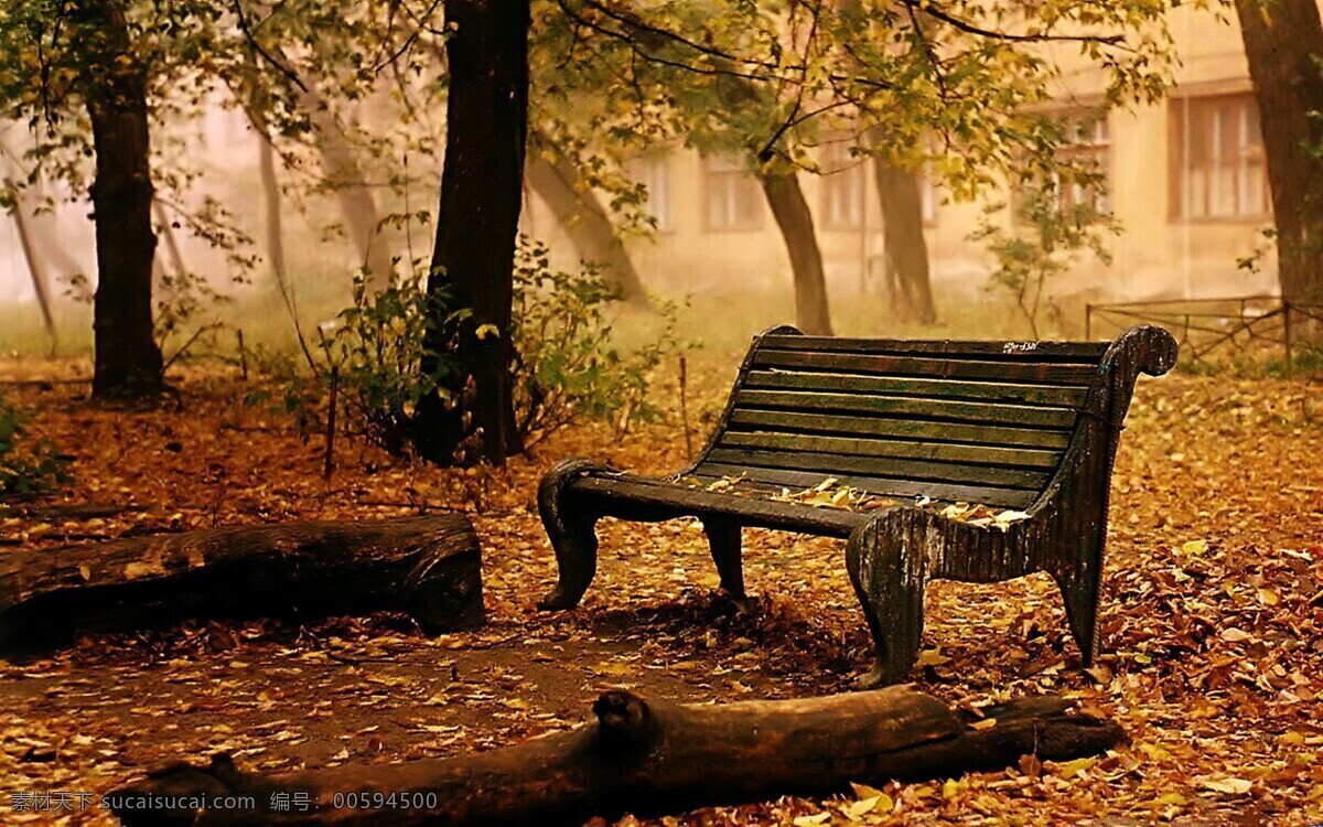 秋天 落叶 长椅 模板 背景 自然风景