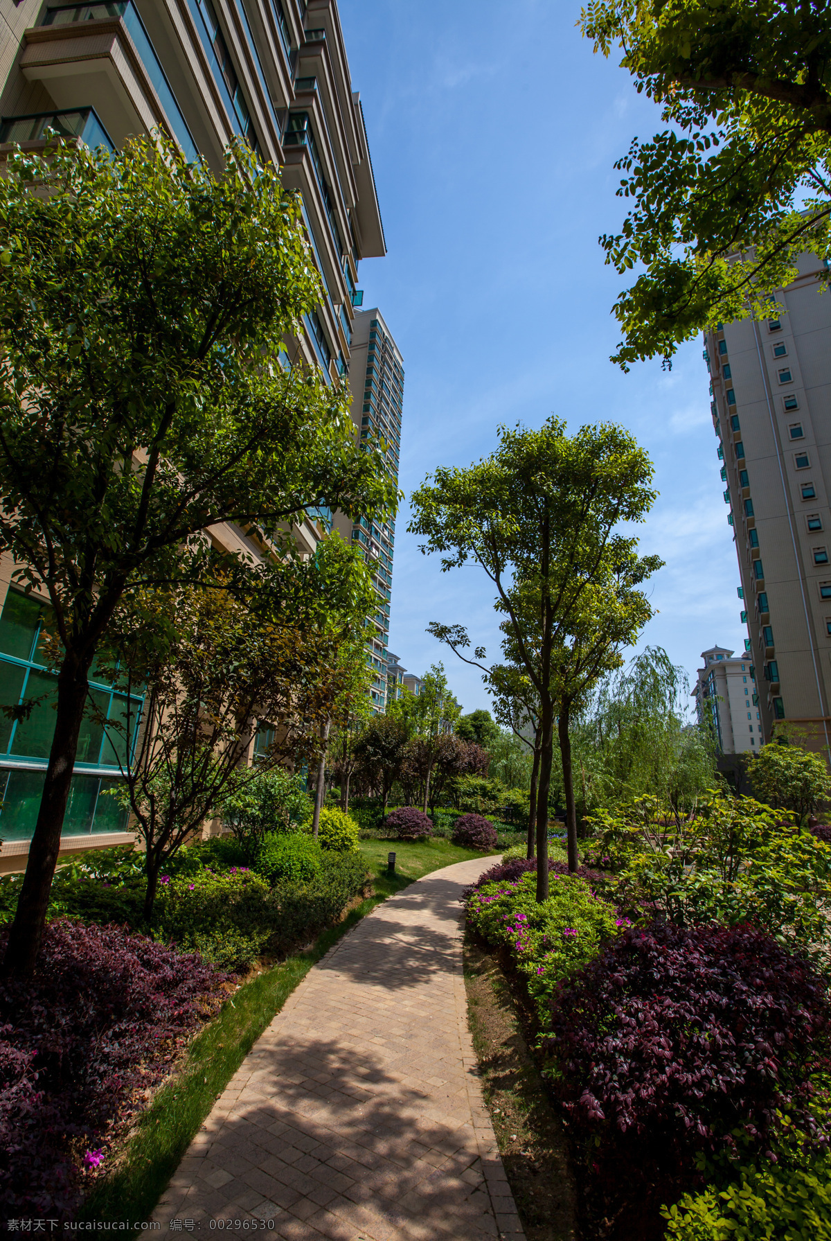 白云 草地 大楼 房地产 灌木丛 建筑园林 景观 蓝天 地产 摄影图片 地产摄影 楼盘 树木 园林 林间小路 恒大 项目 内 园林建筑 矢量图 建筑家居