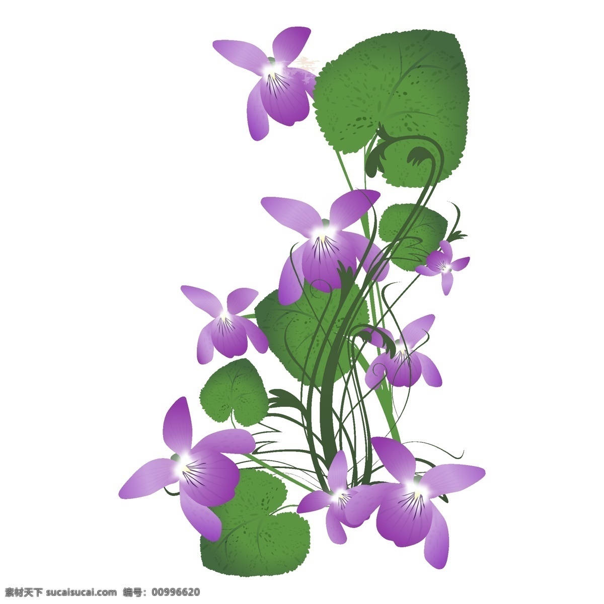 矢量图 服装图案 蝴蝶兰 花朵 写意花卉 植物 面料图库 服装设计 图案花型