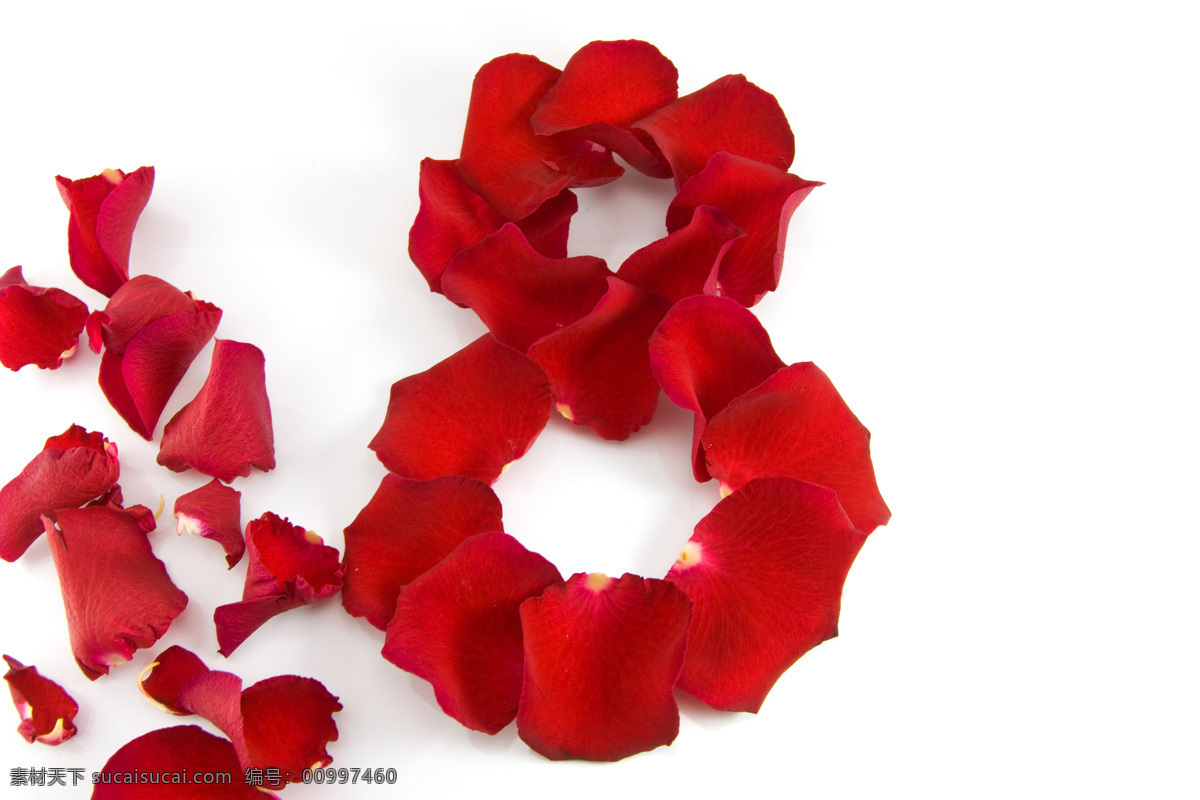 玫瑰 花瓣 组成 八 字形 3月8日 8字形 妇女节 节日素材 高清图片 玫瑰花瓣 节日庆典 生活百科