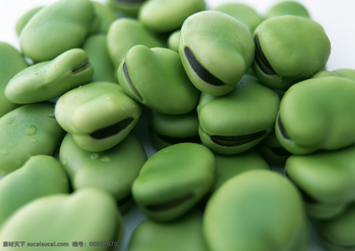 蚕豆 豆角 豆荚 豆子 大豆 蔬菜 丰收写实 收获季节 绿色植物 餐饮美食 食物原料 摄影图库