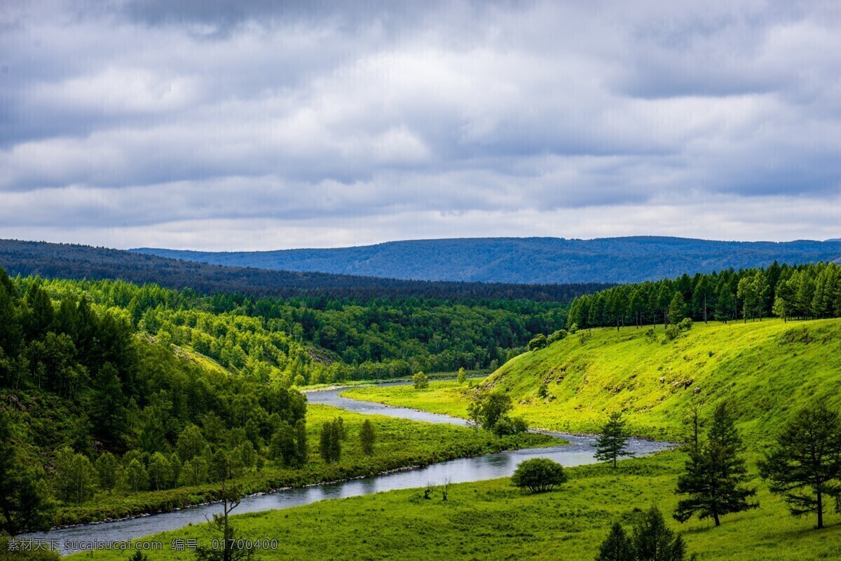 森林风景图片 自然景观 森林风景 行道树 行道树风景 自然风景 唯美风景 风景 风景图片 风景壁纸 大自然风景 自然风光 大自然风光 唯美图片 唯美壁纸 创意图片 植物 植物图片 绿色植物 花草树木 电脑壁纸 美景 美景图片 美景壁纸 旅游风景 森林 森林景观 森林植物