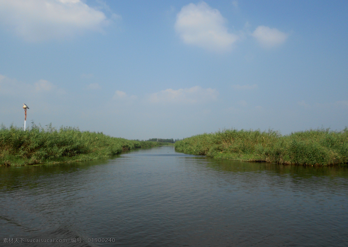 湖泊 旅游胜地 白洋淀 水面 芦苇 绿色 绿水 湖 水域 设计背景 风景 景观 旅游 蓝天白云 旅游摄影 国内旅游