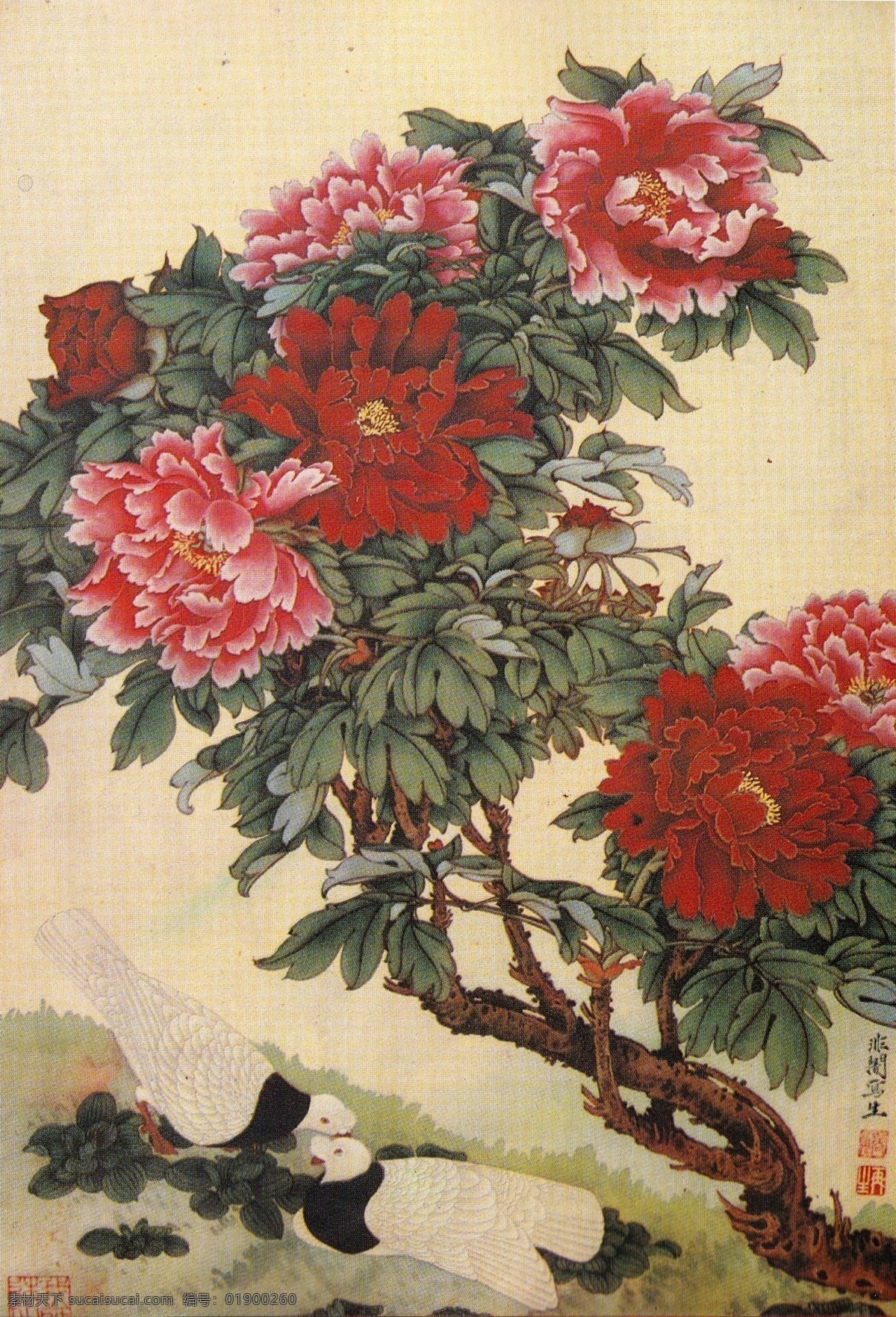 富贵平安 中国画 设色 牡丹 鸽子 于非闇 绘画书法 文化艺术