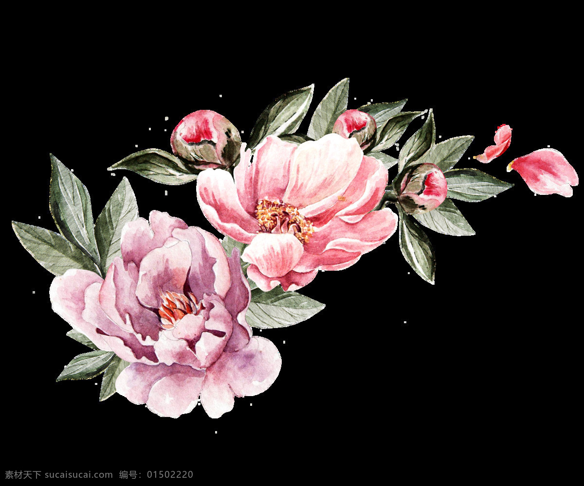 素描 水彩 花卉 卡通 透明 抠图专用 装饰 设计素材