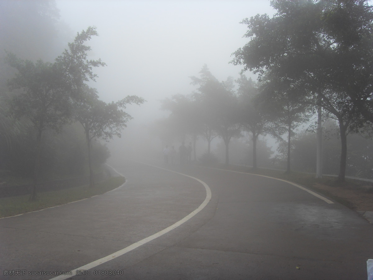 大雾 马路 大雾弥漫 唯美雾境 桌面壁纸 晨雾 树木 森林 自然风景 自然景观