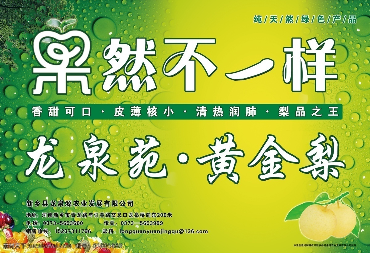 果然 不 一样 黄金 梨 果然不一样 黄金梨 水果 水果海报 绿色背景