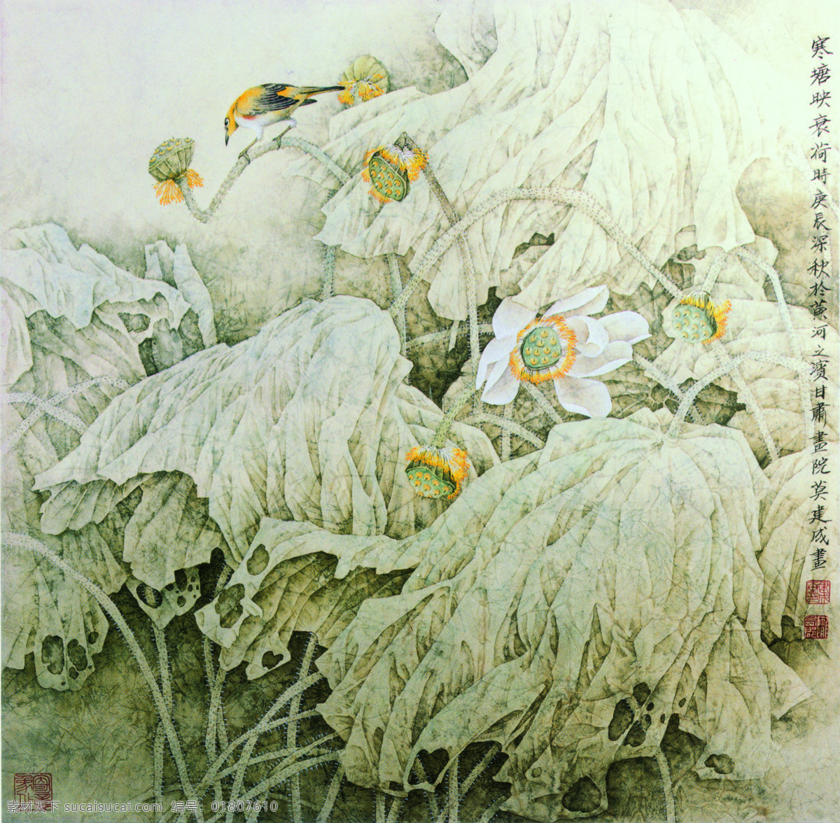 莲花 睡莲 荷花免费下载 工笔画 古画 国画花鸟 荷花 花鸟 花鸟画 牡丹 牡丹花 屏风 水墨 水墨画 中国画 家居装饰素材 壁纸墙画壁纸