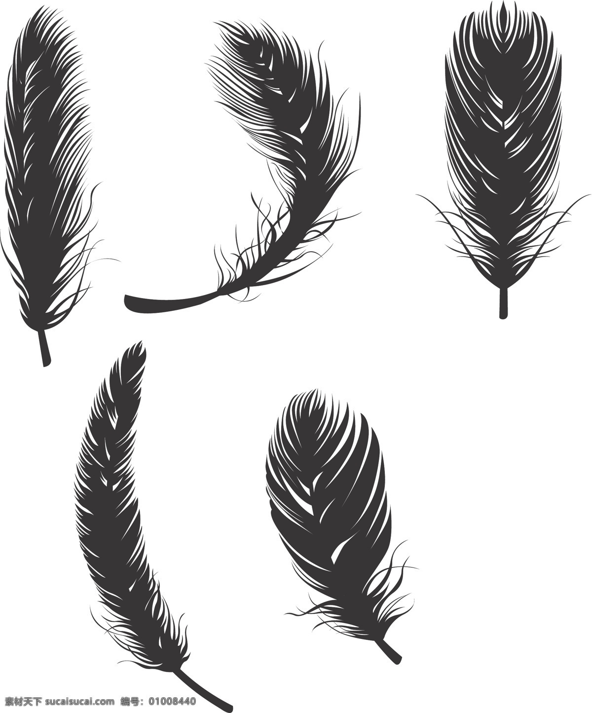 剪影羽毛 剪影 羽毛 鸡毛 鸭毛 鹅毛
