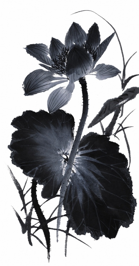 水墨荷花 水墨元素 水墨荷 荷花 荷 水墨画 花纹 背景 画框 文化艺术 绘画书法