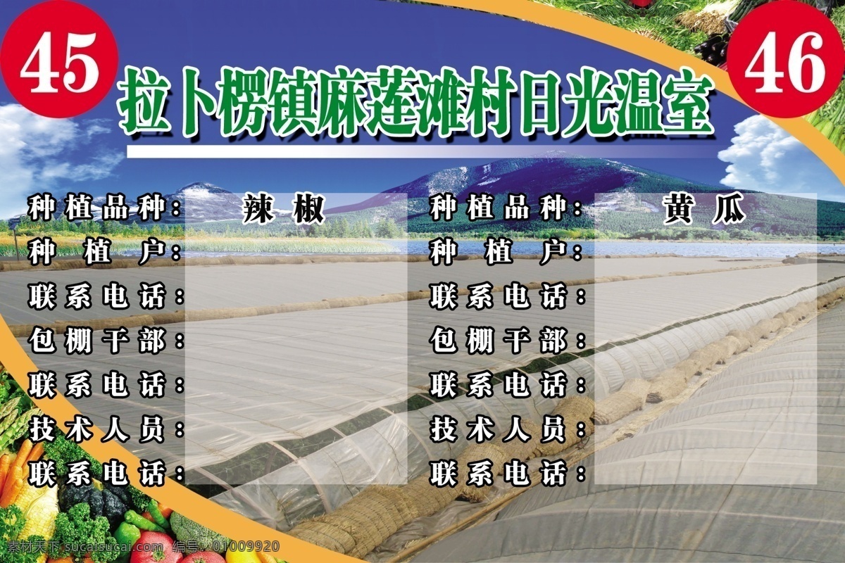 日光温室 日光温室牌 蔬菜 温棚 其他模版 广告设计模板 源文件