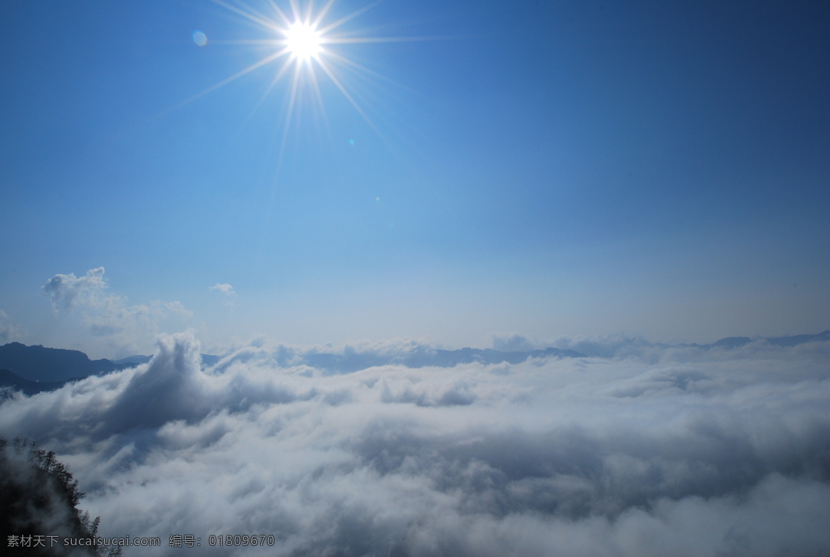 阿里山雲海 阿里山 雲海 風景 山顶 太陽 旅游摄影 国内旅游 摄影图库