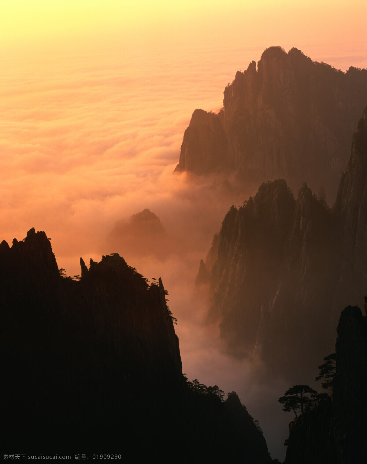 风景 名胜 山 云 天 悬崖 山顶 松树 黄山 自然景观 风景名胜 清晰 版 摄影图库 300