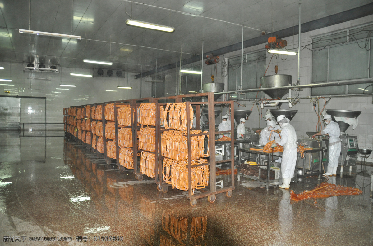 生产车间 车间 火腿肠车间 工作的员工 大车间 员工 工作 时候 原图片 工人工作 室内摄影 建筑园林