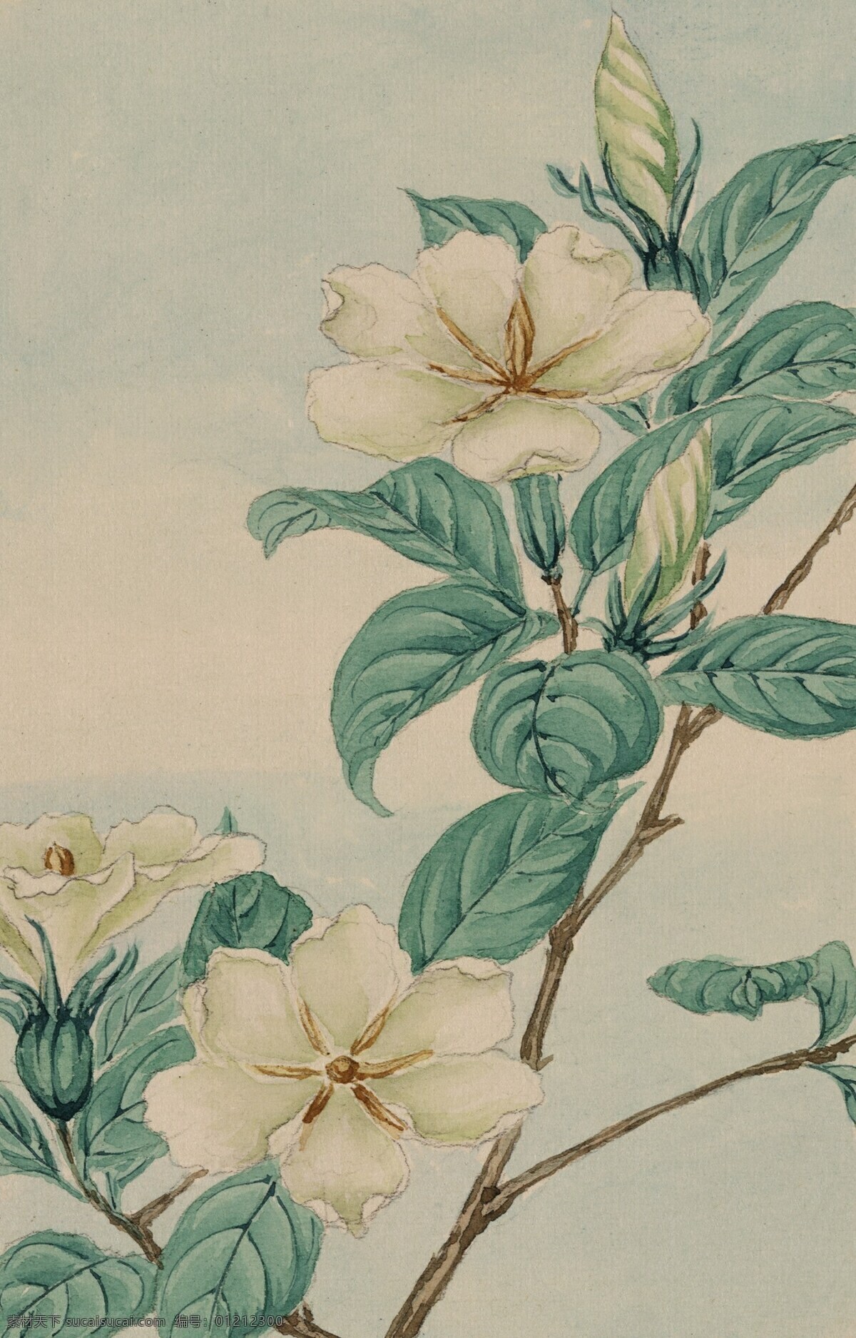 手绘水彩花 水彩画 装饰画 花 工笔画 手绘花朵 国画 水墨画 文化艺术 绘画书法