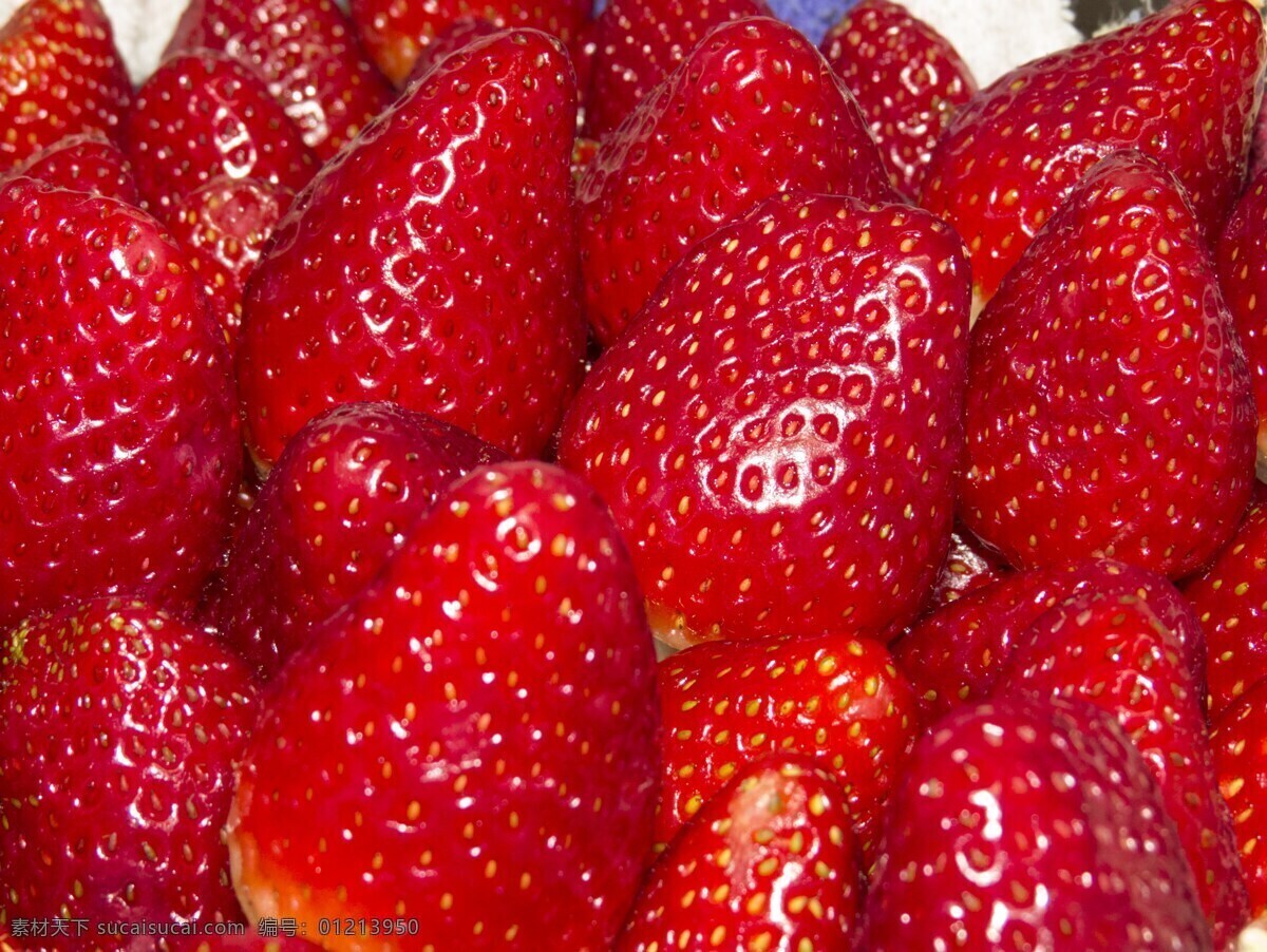 草莓 洗水果 牛奶草莓 红草莓 浆果 草莓堆 摄影图片 生物世界 水果 小吃散点 美食素材 食品 一堆草莓 15水果系列