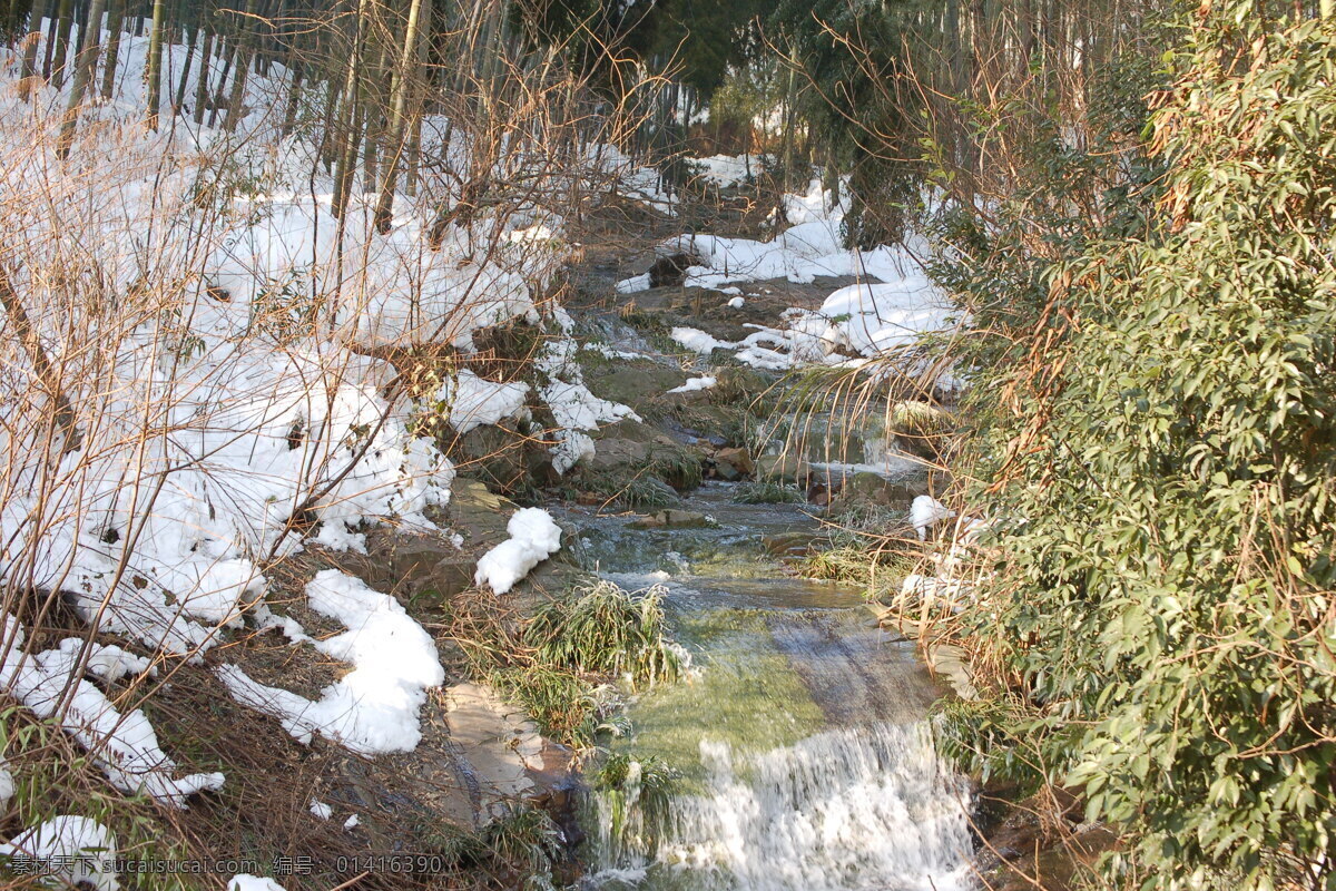 冰雪 南山 溪流 小溪 雪景 竹 竹海 竹海雪景 竹子 fenghc 自然篇 自然风景 自然景观 矢量图 日常生活