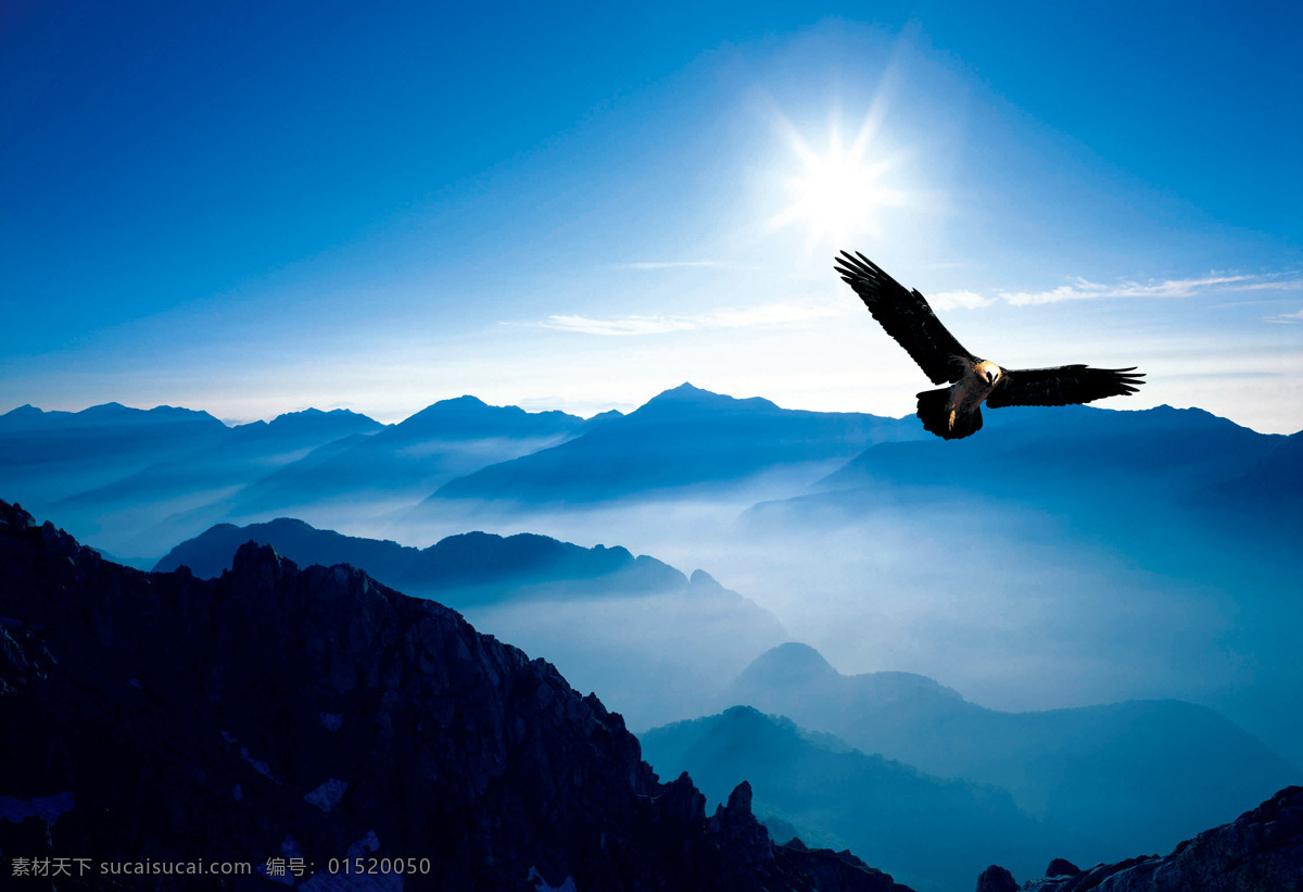 超酷雄鹰展翅 山峰 云雾 阳光 生物世界 鸟类 摄影图库