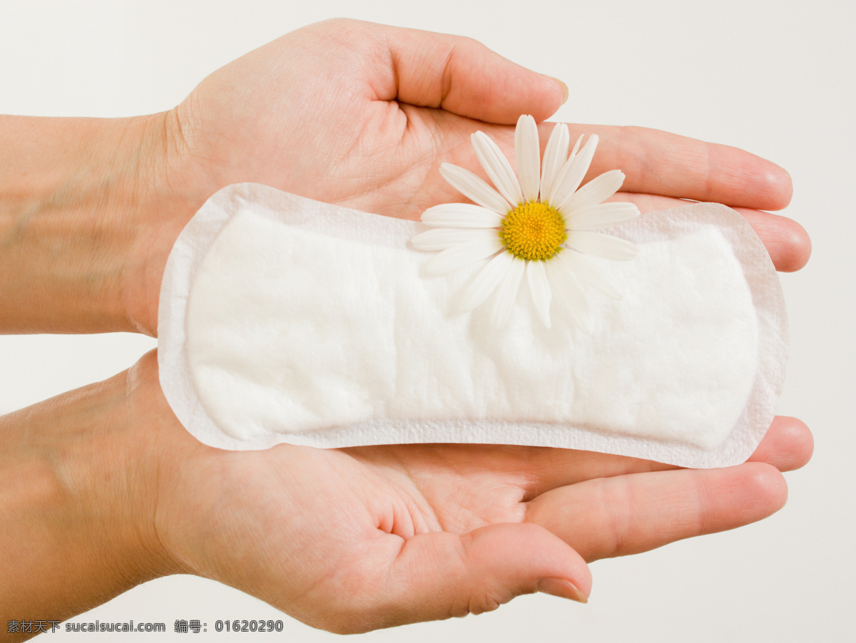 双手 捧 卫生巾 女性用品 护垫 双手捧着 鲜花 花朵 手势 生活用品 生活百科
