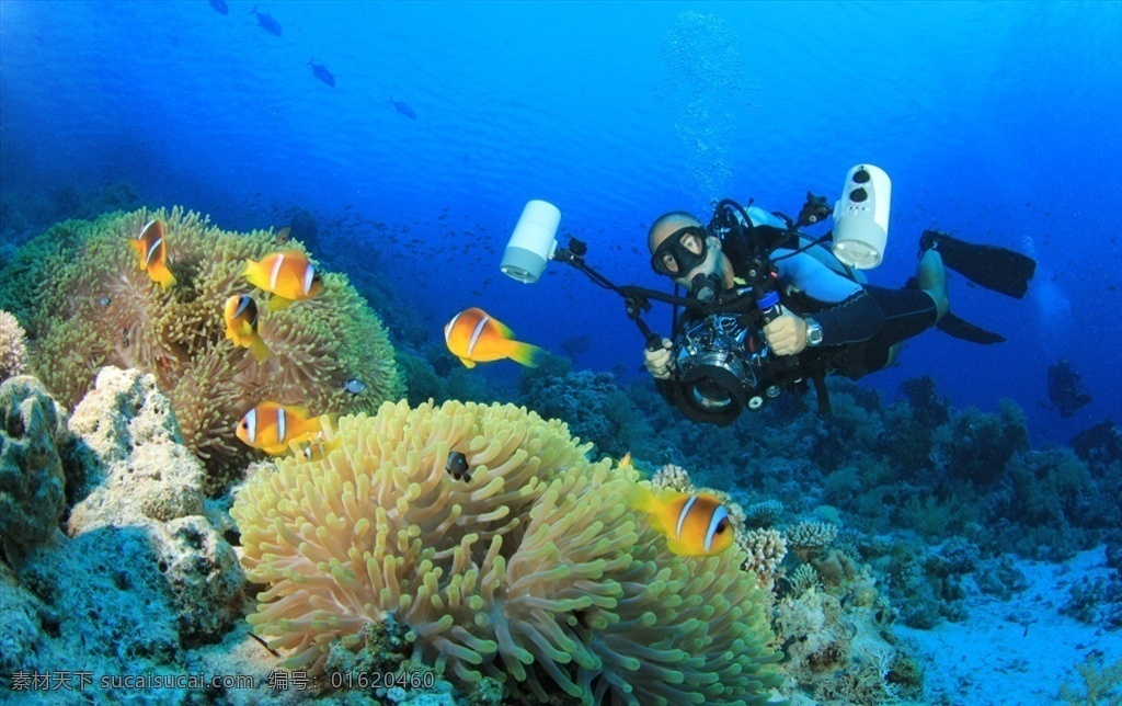潜水运动 潜水员潜水 潜水员 潜水镜 海底世界 海洋 海洋世界 大海 海底 深海 潜水 商务 人物 科技 运动 文化艺术 体育运动