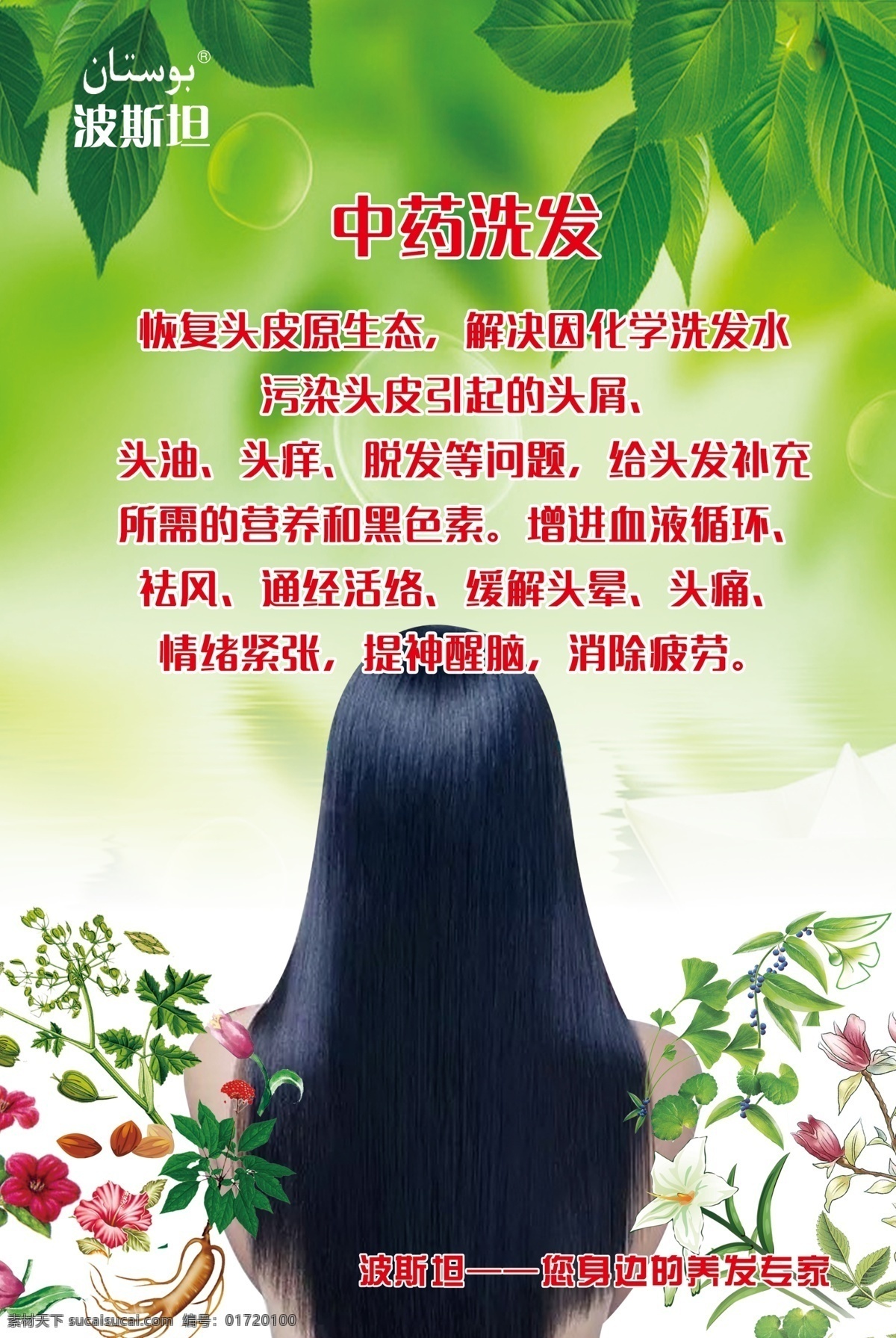 美容展板 中药洗发 护发 秀发 中草药 中药 绿叶 招贴设计