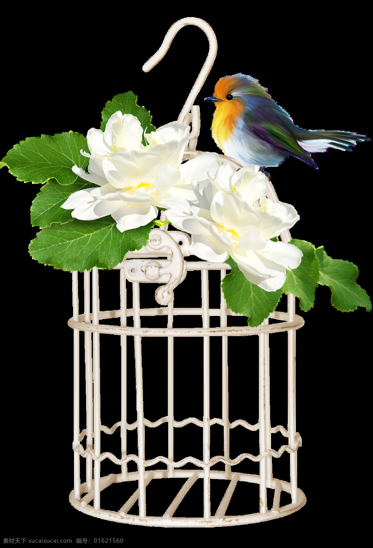 小 清新 彩绘 花卉 鸟笼 透明 彩鸟 铁框 树叶 白花 透明素材 免扣素材 装饰图片